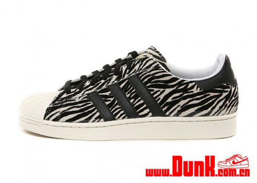 superstar zebra superstar zebra